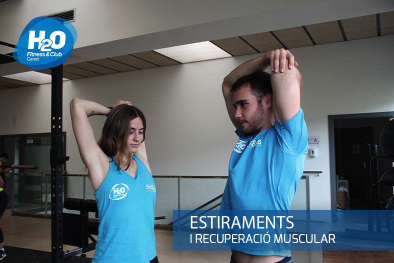 Estiraments, importantíssim en la recuperació muscular